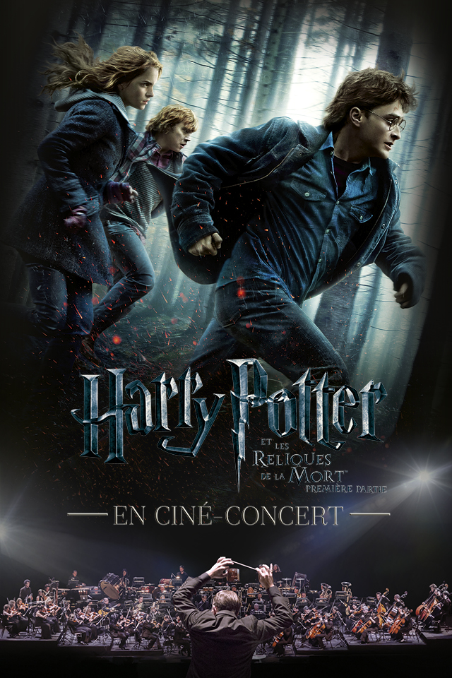 Harry Potter et les Reliques de la Mort - 1ère Partie